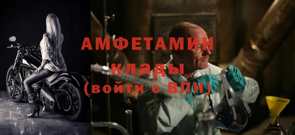 спиды Бородино