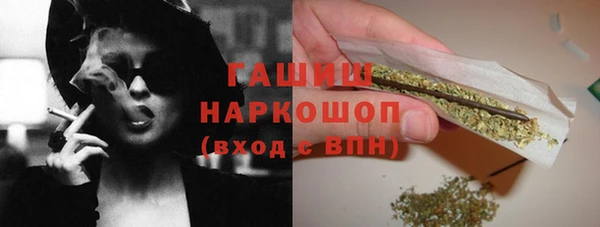 спиды Бородино