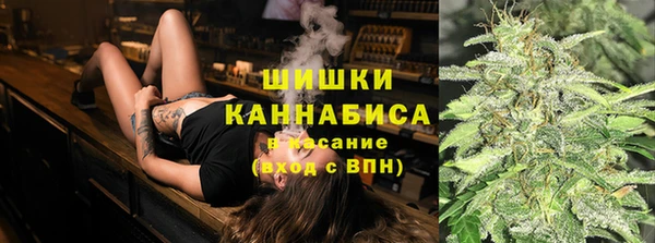 спиды Бородино