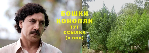 спиды Бородино