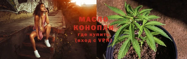 спиды Бородино