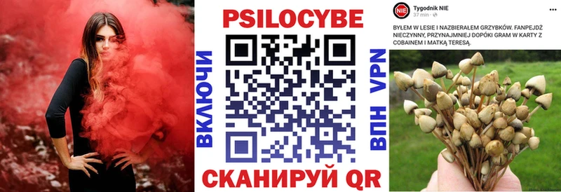Галлюциногенные грибы мухоморы  купить закладку  Гороховец 